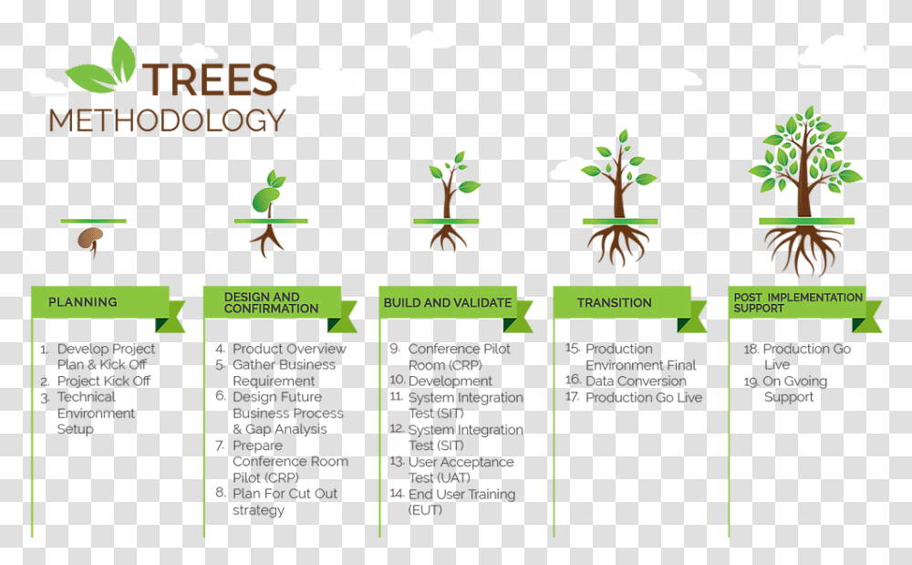 Contact Us Tree Tree, Rainforest, Vegetation, Plant, Outdoors Transparent Png