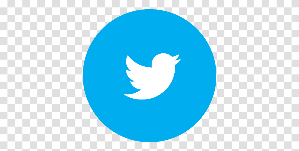 Contact Us - Isla Vista Tenants Union Twitter Logo, Animal, Bird, Symbol, Light Transparent Png