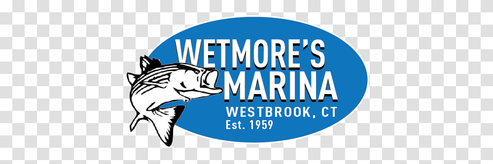 Contact Wetmores Marina Westbrook, Label, Text, Word, Sticker Transparent Png