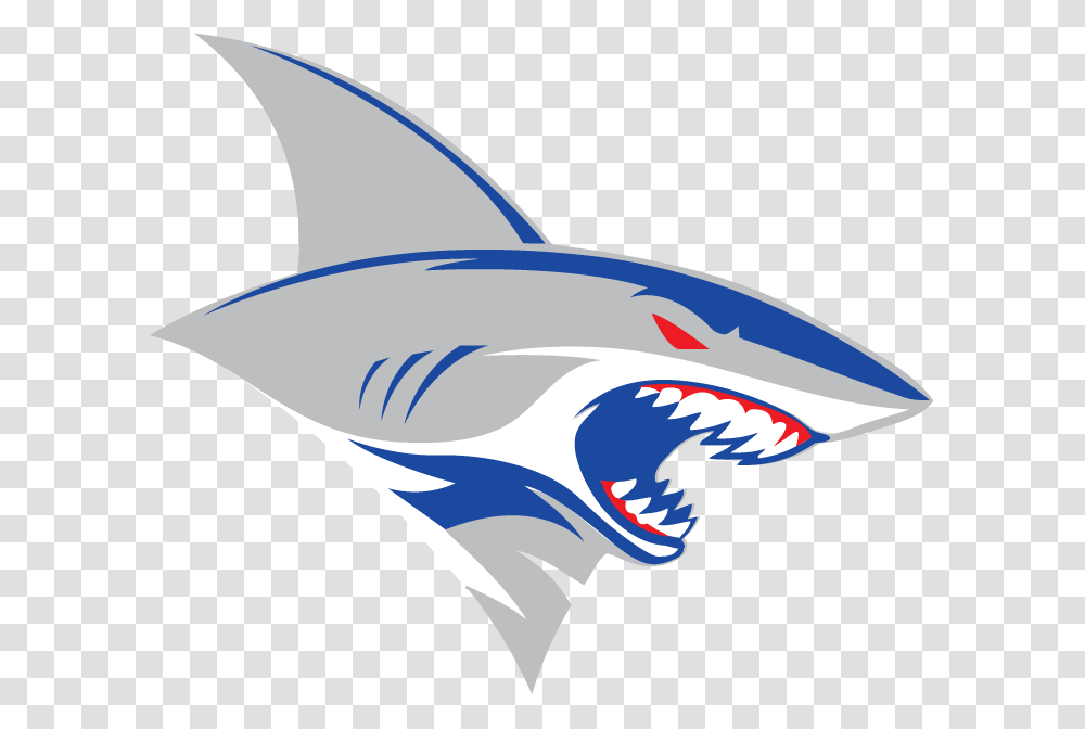 Contacts Jersey Sharks, Bird, Animal, Tin, Can Transparent Png