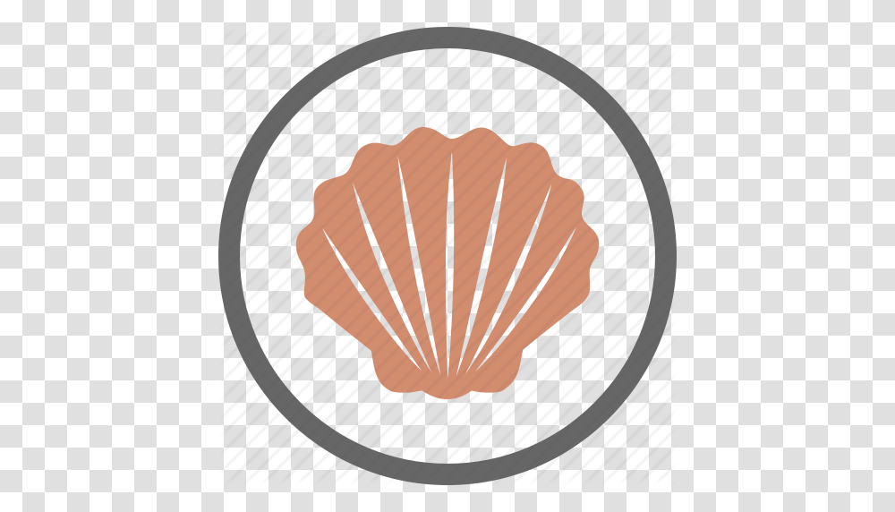 Contain Contains Food Label Seashell Shell Shellfish Icon, Clam, Invertebrate, Sea Life, Animal Transparent Png