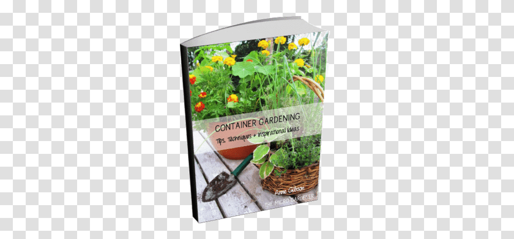Container Gardening Tips Guide Flowerpot, Potted Plant, Vase, Jar, Pottery Transparent Png