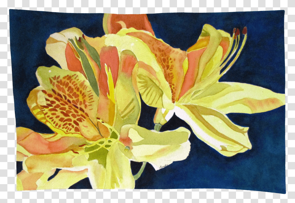Contemporary Day Lillies Watercolor On Paper Painting Transparent Png