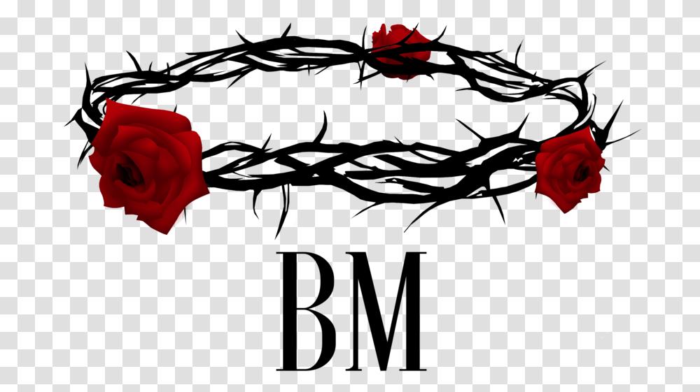 Content - Biblical Merch Crown Of Roses And Thorns, Flower, Plant, Blossom, Petal Transparent Png