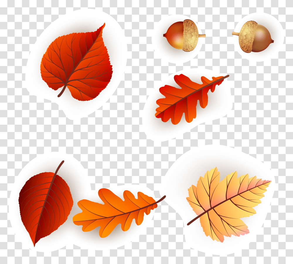 Continental Colorful Fresh Maple Leaf Pattern Vector Autumn, Plant, Seed, Grain, Produce Transparent Png