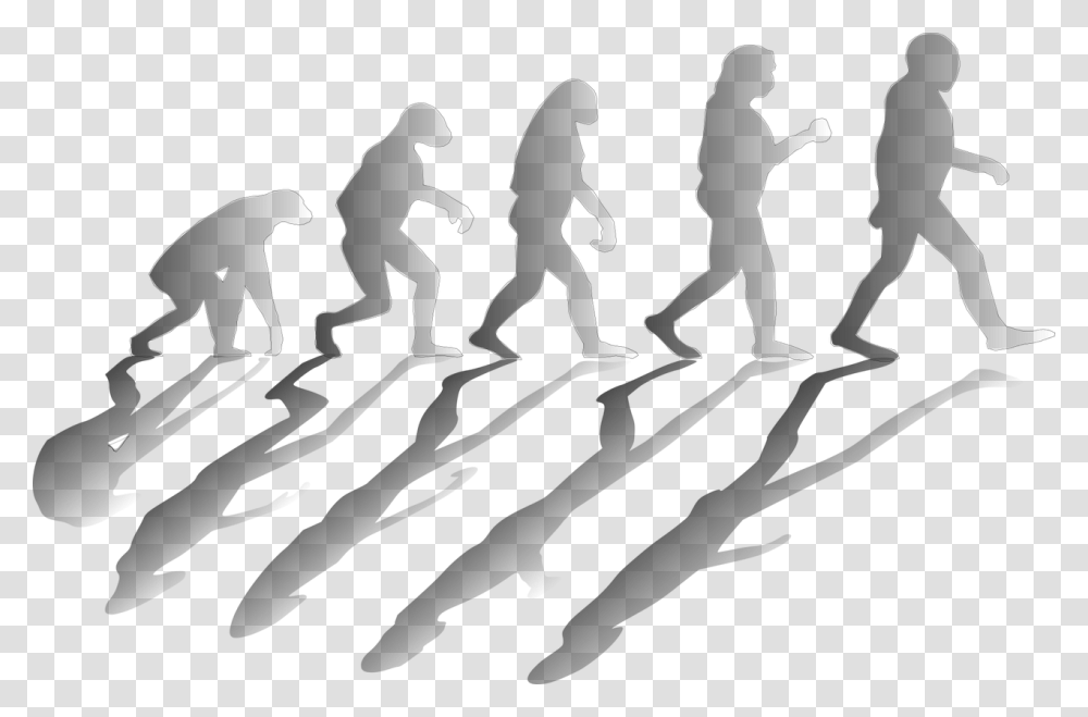 Contributions Of Charles Darwin In Science, Fitness, Working Out, Sport, Silhouette Transparent Png