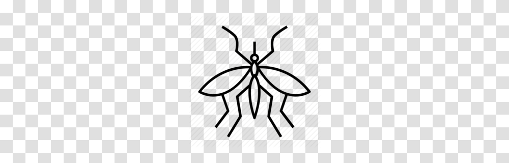 Control Clipart, Spider, Invertebrate, Animal, Arachnid Transparent Png