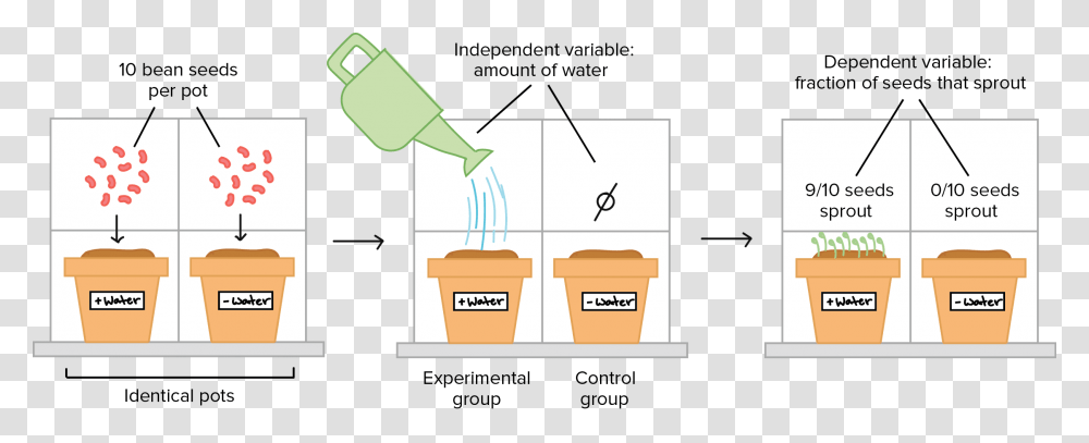 Controlled Experiment Science Clipart, Tin, Plot, Can Transparent Png