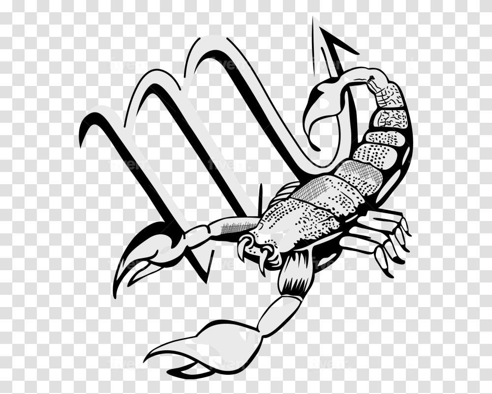 Convert Drawing Into Digital Art And Vector Tracing Logo Scorpion, Animal, Invertebrate, Insect, Sea Life Transparent Png