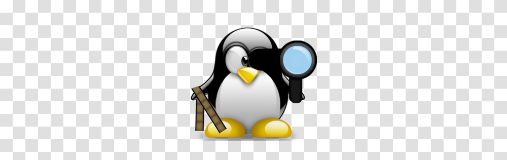 Converting Pictures To Format Videos On Linux, Bird, Animal, Penguin, King Penguin Transparent Png
