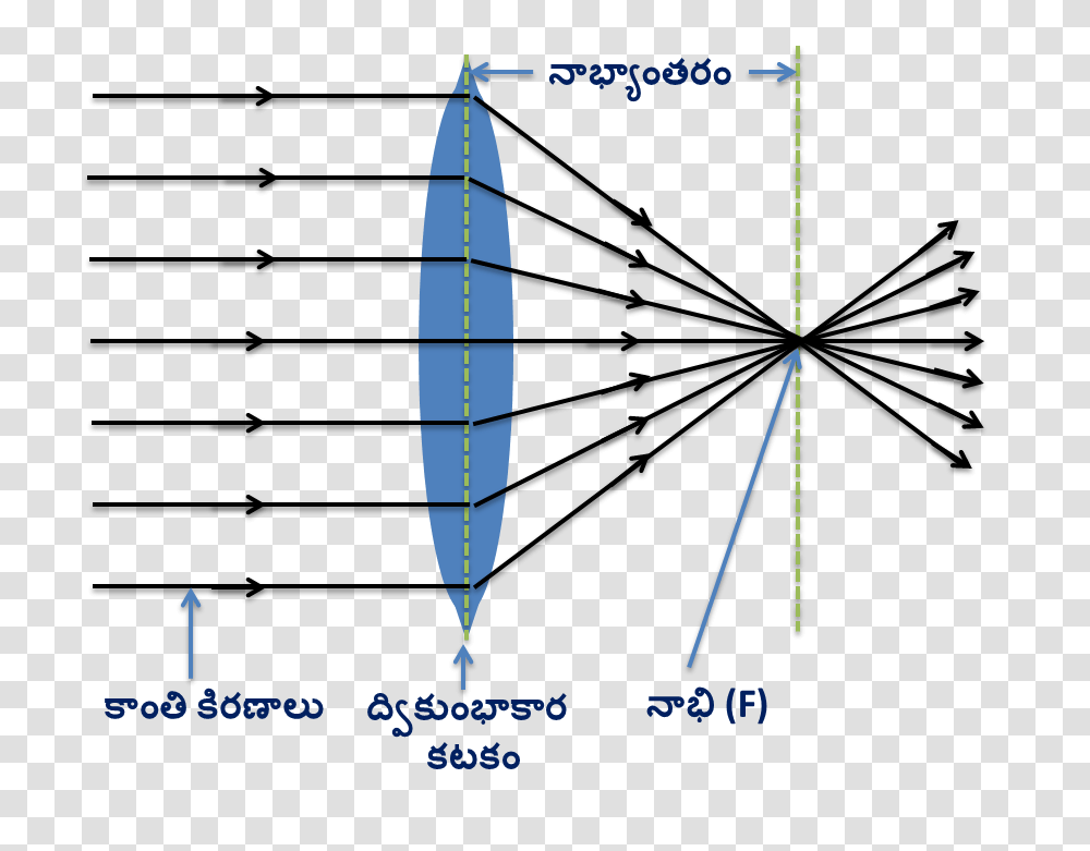 Convex Lens, Plot, Diagram, Utility Pole, Bow Transparent Png