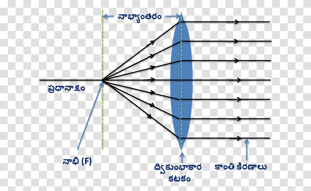 Convex Lens Ray Diagram In Telugu, Plot, Vegetation, Nature, Outdoors Transparent Png
