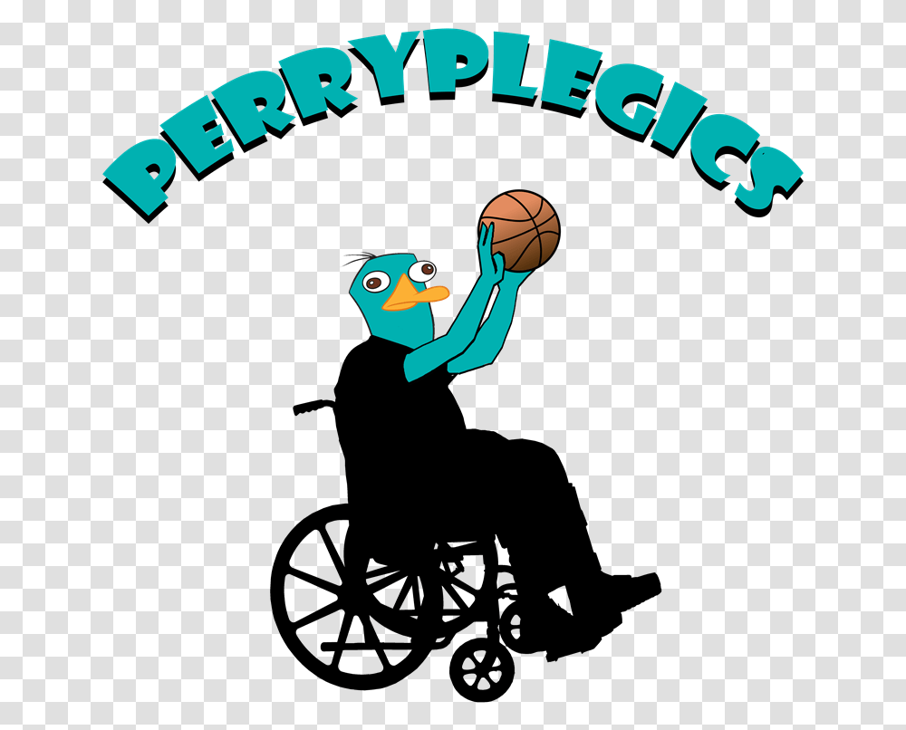Cook Basketball S Champion Person In Wheelchair, Team Sport, Bird, Poster Transparent Png
