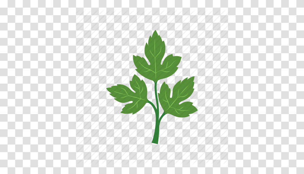 Cook Dish Food Green Parsley Vegetable Veggie Icon, Leaf, Plant, Insect, Invertebrate Transparent Png