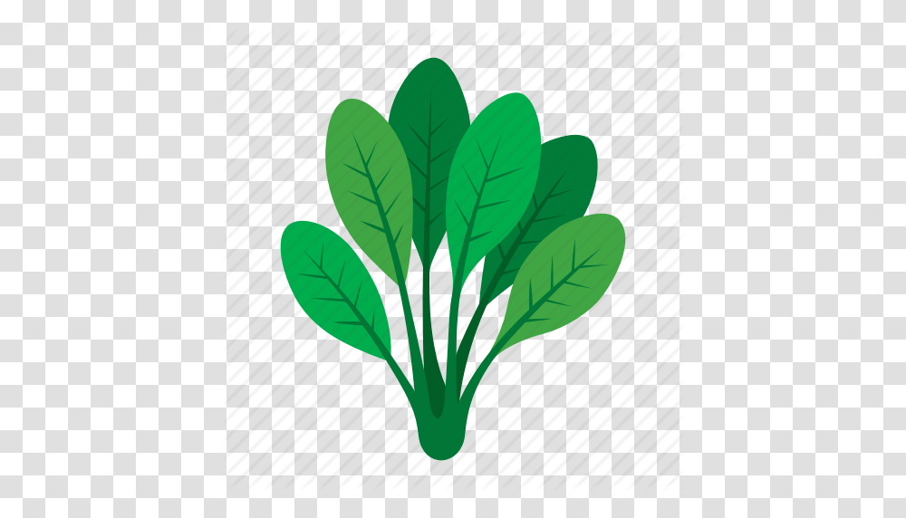 Cook Food Green Kitchen Spinach Vegetable Veggie Icon, Plant, Veins, Leaf, Produce Transparent Png