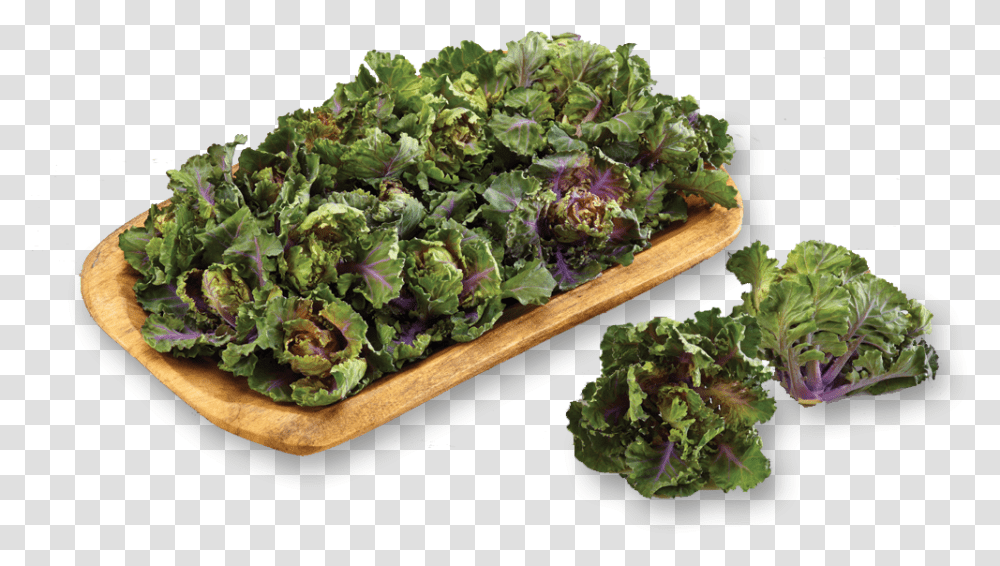 Cook Kalettes, Cabbage, Vegetable, Plant, Food Transparent Png