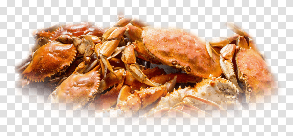 Cooked Blue Claw Crab, Seafood, Sea Life, Animal, King Crab Transparent Png