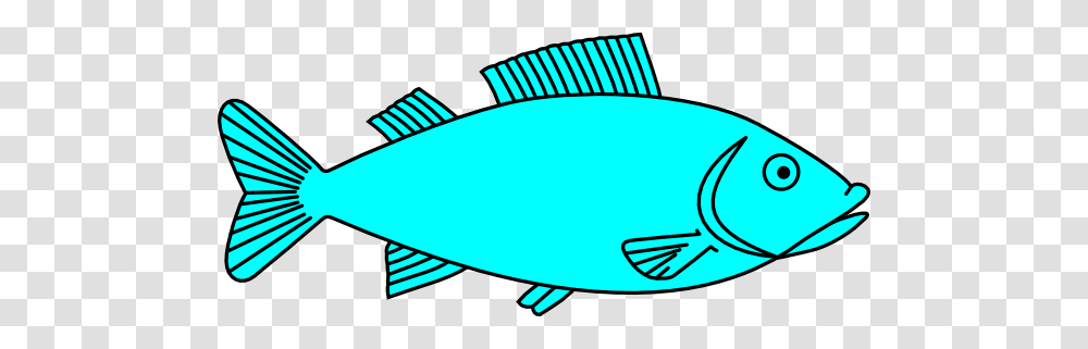 Cooked Fish Clipart, Animal, Sea Life, Surgeonfish, Tuna Transparent Png