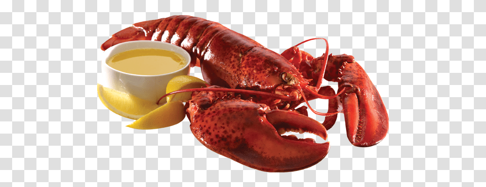 Cooked Lobster, Seafood, Sea Life, Animal, Burger Transparent Png