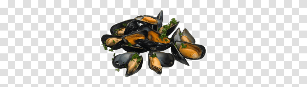 Cooked Mussels With Parsley Mussels, Invertebrate, Animal, Seashell, Sea Life Transparent Png