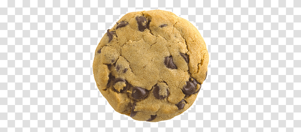 Cookie Background Posted By Sarah Anderson Sandwich, Food, Biscuit, Teddy Bear, Toy Transparent Png