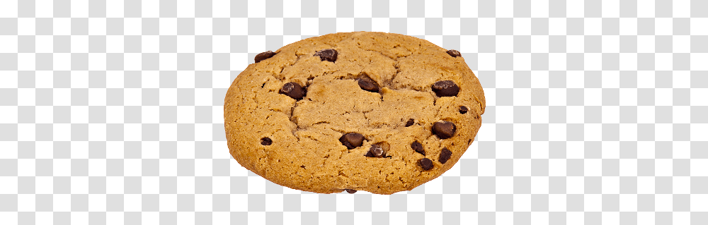 Cookie, Food, Biscuit, Bread, Fungus Transparent Png