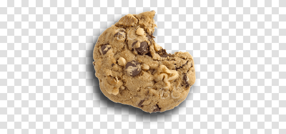 Cookie, Food, Biscuit, Rock, Fungus Transparent Png