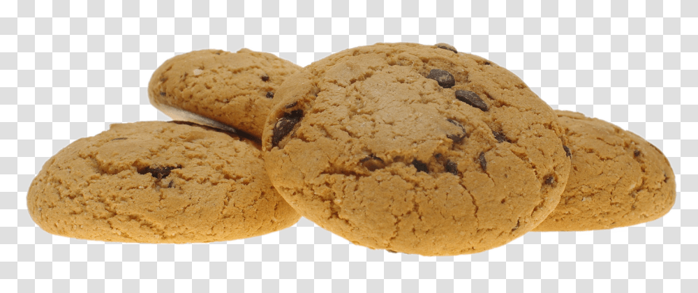 Cookie, Food, Bread, Biscuit, Gingerbread Transparent Png