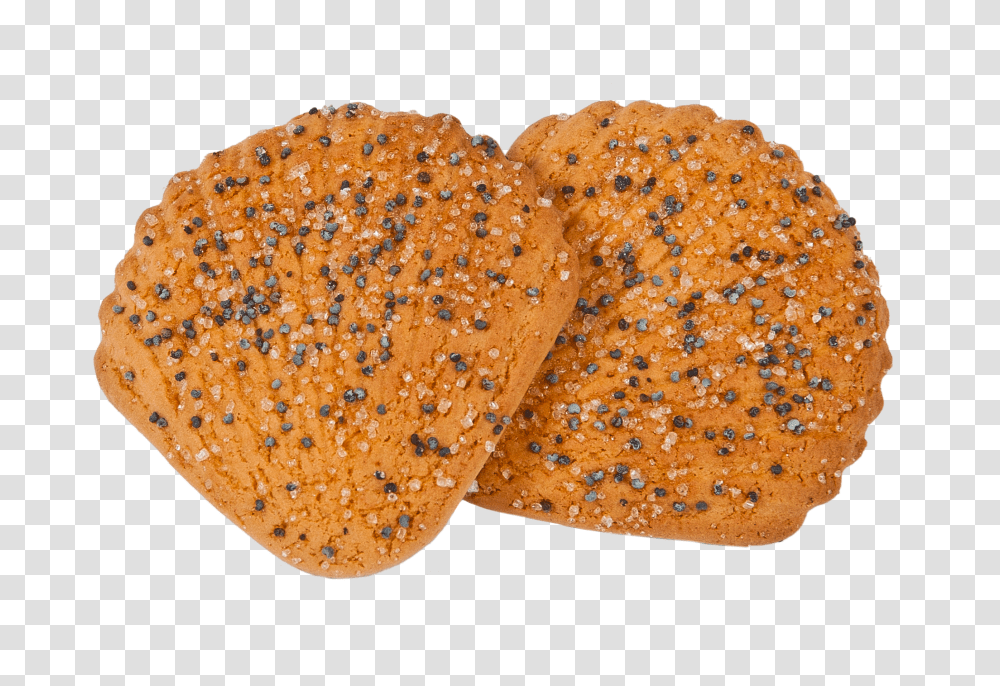 Cookie, Food, Bread, Fungus, Cracker Transparent Png