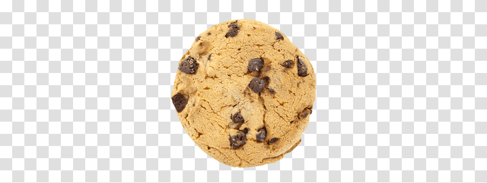 Cookie, Food, Rug, Biscuit, Honey Bee Transparent Png