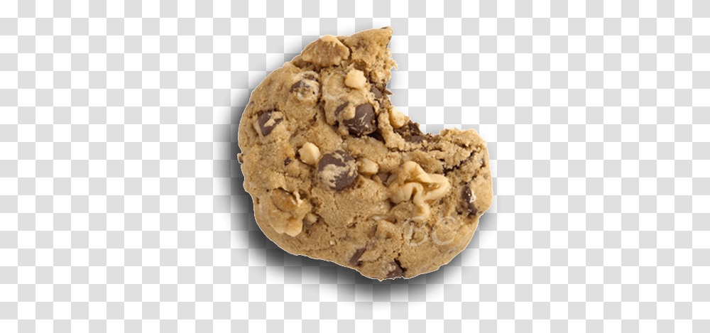 Cookie In High Resolution Peanut Butter Cookie, Rock, Fungus, Food, Biscuit Transparent Png
