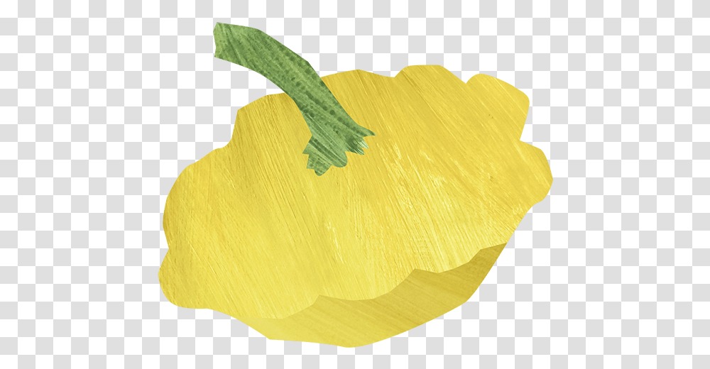 Cooking With Squash Unicorn Grocery Illustration, Plant, Petal, Flower, Food Transparent Png