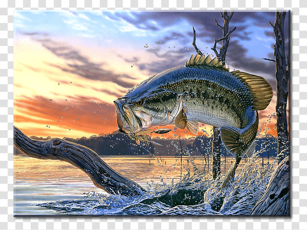 Cool Background Cool Fish, Bird, Animal, Water, Pike Transparent Png