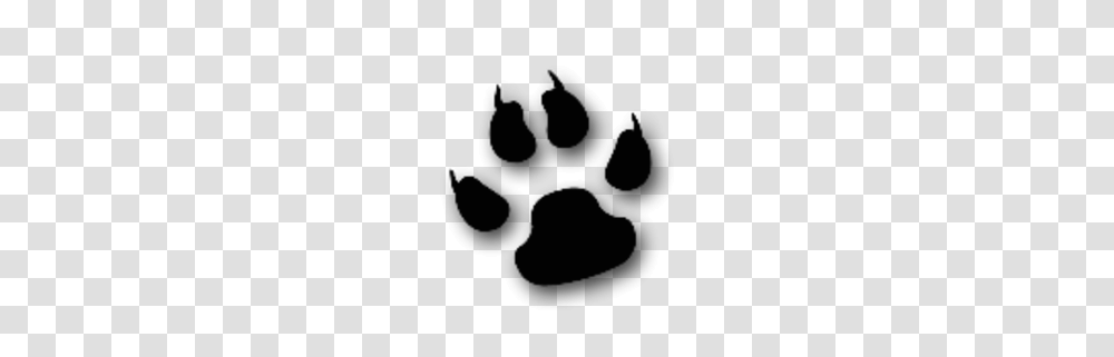 Cool Cat Animal Paw Free Images, Flare, Light, Hand Transparent Png