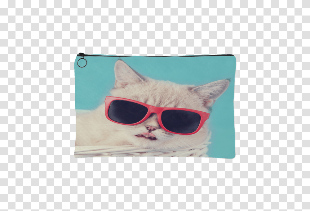 Cool Cat Pouch Jacksonsrunaway, Sunglasses, Accessories, Accessory, Pet Transparent Png