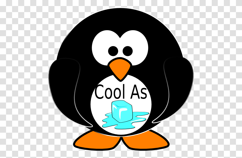 Cool Cliparts, Bird, Animal, Penguin, Giant Panda Transparent Png