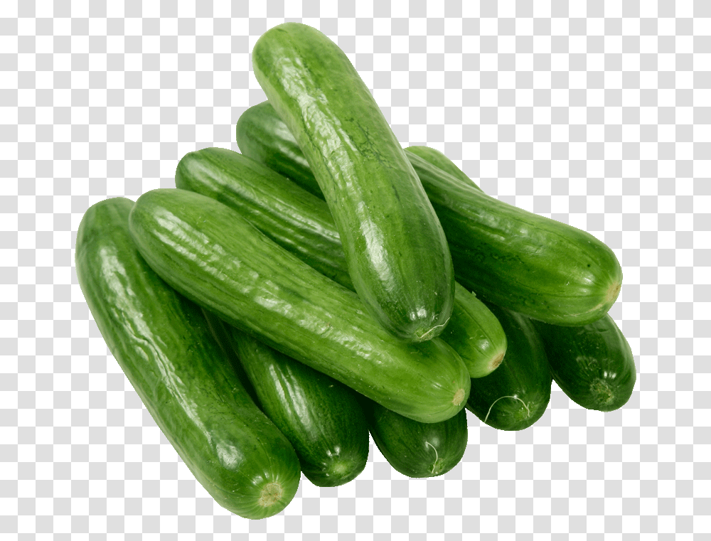 Cool Cucumber Free Vegetables Clipart Fruit Names A Single Vegetables Hd, Plant, Food Transparent Png