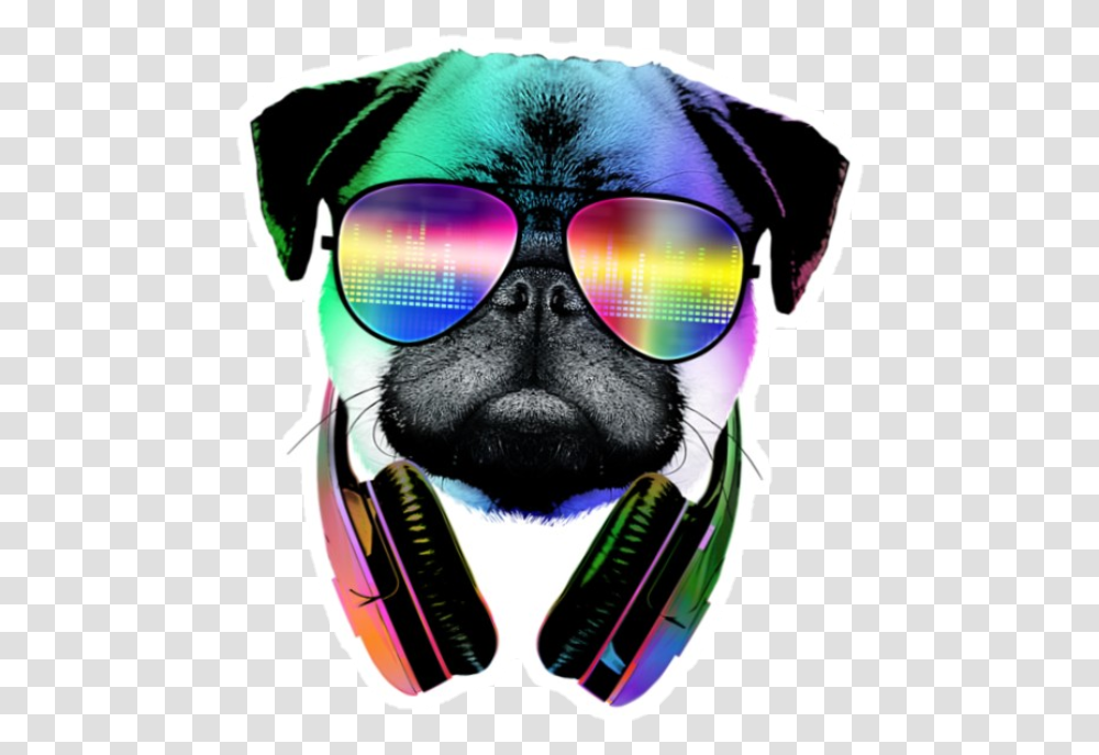 Cool Dog Dj Pug, Sunglasses, Accessories, Goggles, Head Transparent Png