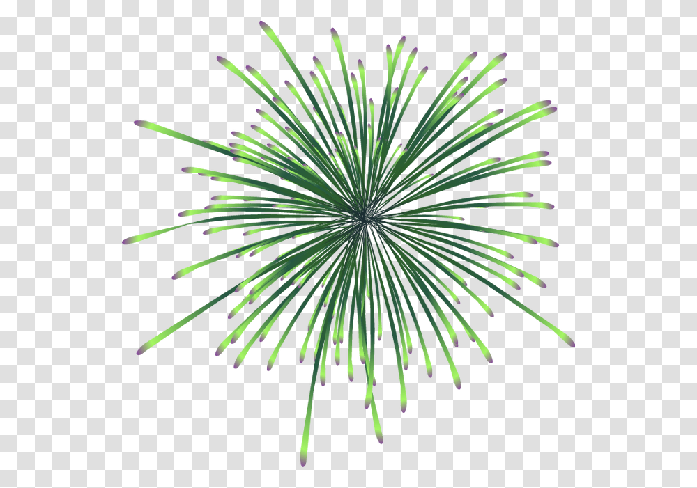 Cool Fireworks Download, Nature, Outdoors, Night, Plant Transparent Png