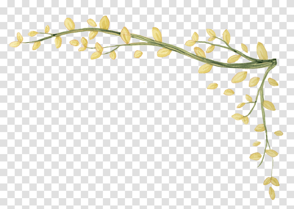 Cool Ivy Vine Vine Clipart Background, Plant, Flower, Petal, Tree Transparent Png