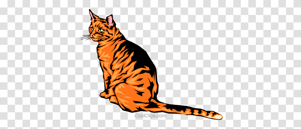 Cool Looking Cat Royalty Free Vector Clip Art Illustration, Tiger, Wildlife, Mammal, Animal Transparent Png