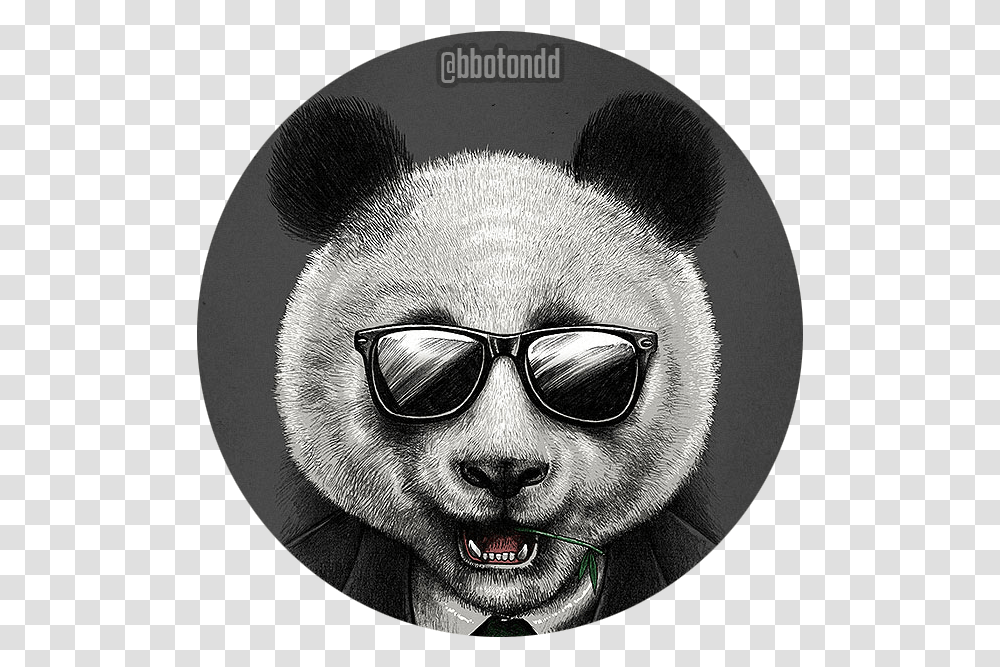 Cool Panda Profile, Sunglasses, Accessories, Person, Face Transparent Png