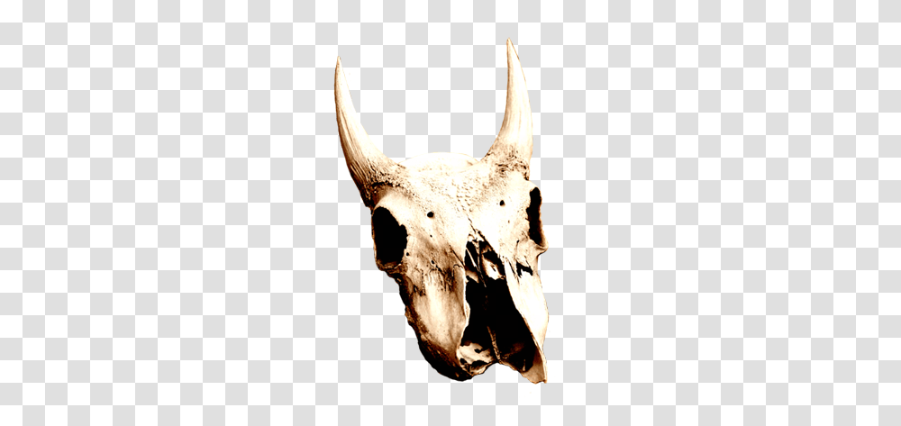 Cool Skull Clip Art, Animal, Mammal, Wildlife, Antler Transparent Png