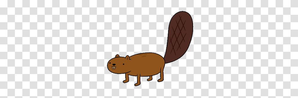 Cool Slumber Party Clip Art Beaver The Adventure Time Wiki, Rodent, Mammal, Animal, Wildlife Transparent Png