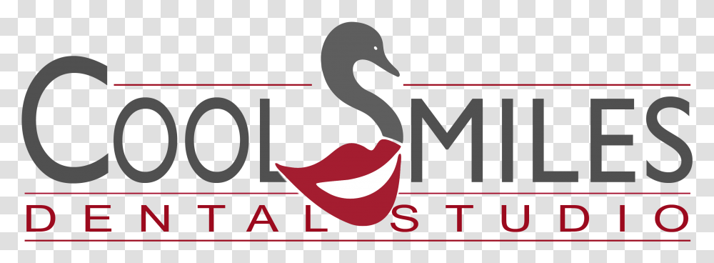 Cool Smiles Dental Studio Logo Duck, Animal, Bird, Flamingo Transparent Png