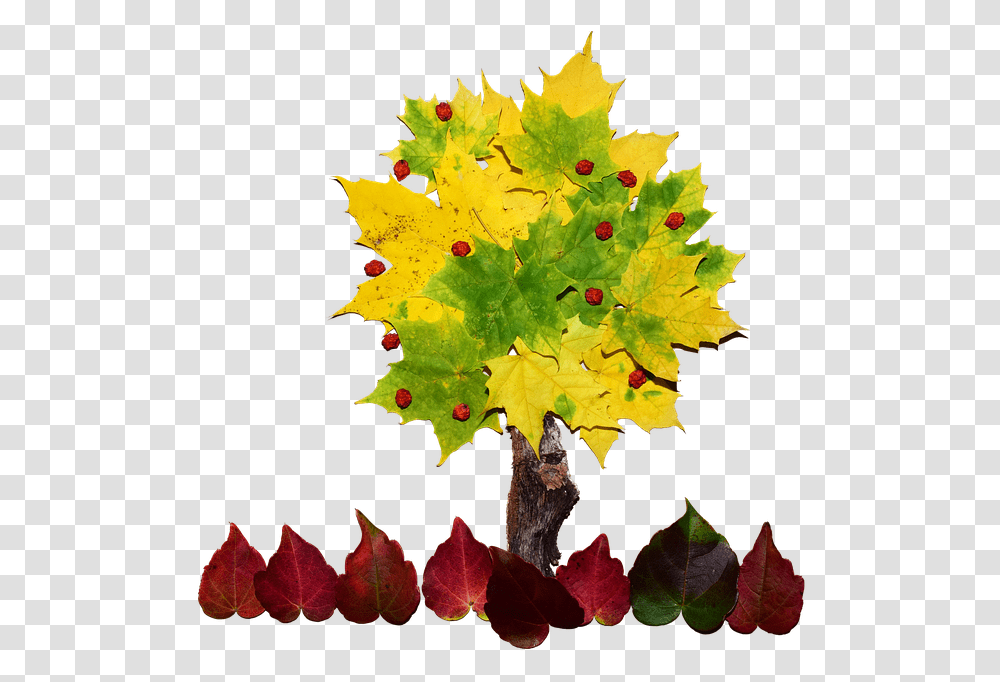 Cool Tree Cliparts 12 Buy Clip Art Collage De Un Arbol, Leaf, Plant, Maple, Maple Leaf Transparent Png