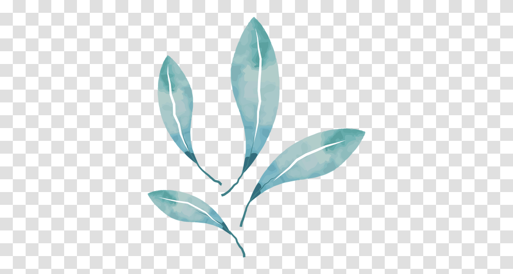 Cool Watercolor Leaves & Svg Vector File Azul Hojas Acuarela, Leaf, Plant, Iris, Flower Transparent Png