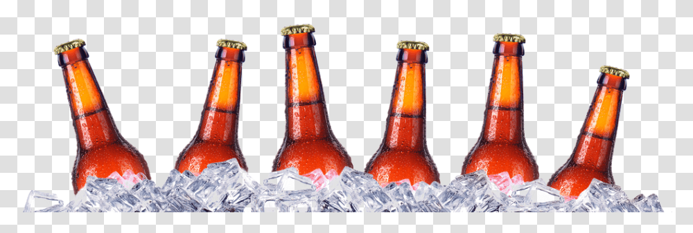 Cooler Beers, Bottle, Beverage, Drink, Alcohol Transparent Png
