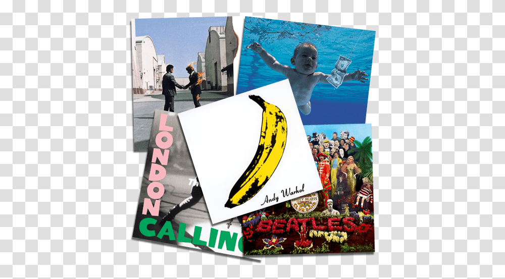 Coolest Album Covers Best Music Of All Time Icon Cd, Person, Banana, Fruit, Plant Transparent Png