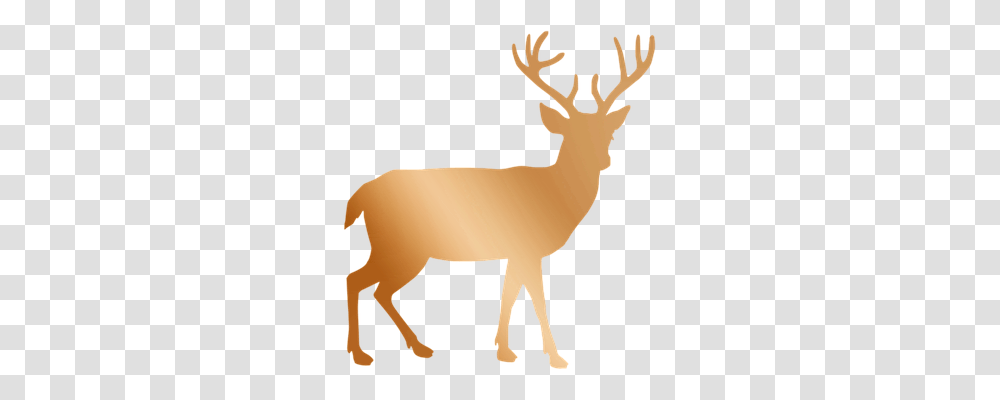 Copper Elk, Deer, Wildlife, Mammal Transparent Png